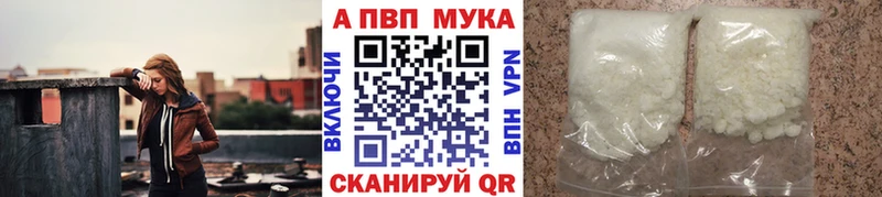 ссылка на мегу рабочий сайт Сальск Альфа ПВП СК КРИС