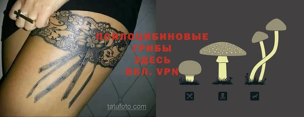 круглые Осинники