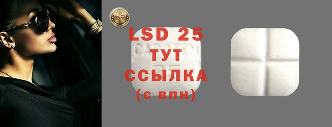 круглые Осинники