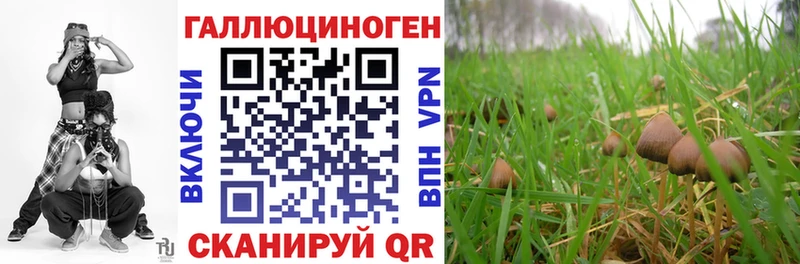 Псилоцибиновые грибы GOLDEN TEACHER Сальск