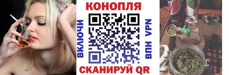 даркнет наркотические препараты  кракен зеркало  МАРИХУАНА гибрид  Сальск  купить наркотики цена 